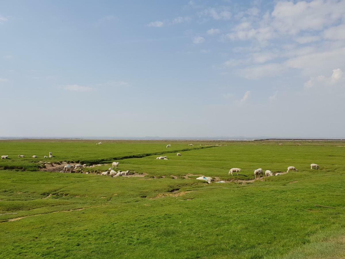 Kleines Haeuschen Am Deich, Vor Den Toren Von Sylt Villa Emmelsbull-Horsbull Ngoại thất bức ảnh